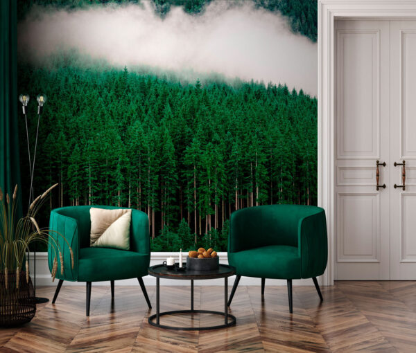 Grupa drzew w lesie Fototapeta Grupa drzew w lesie