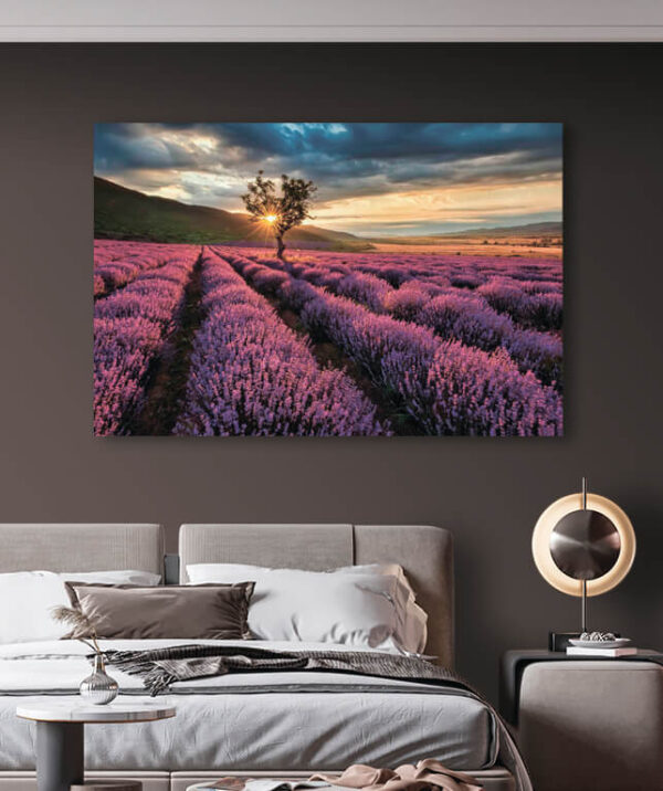 Drzewo z prześwitującym przez nie słońcem Fototapeta Drzewo z prześwitującym przez nie słońcem