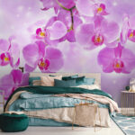 Fototapeta Delikatne orchidee w łagodnych odcieniach