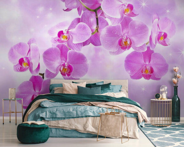 Delikatne orchidee w łagodnych odcieniach Fototapeta Delikatne orchidee w łagodnych odcieniach