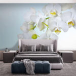 Fototapeta Białe orchidee nad wodą