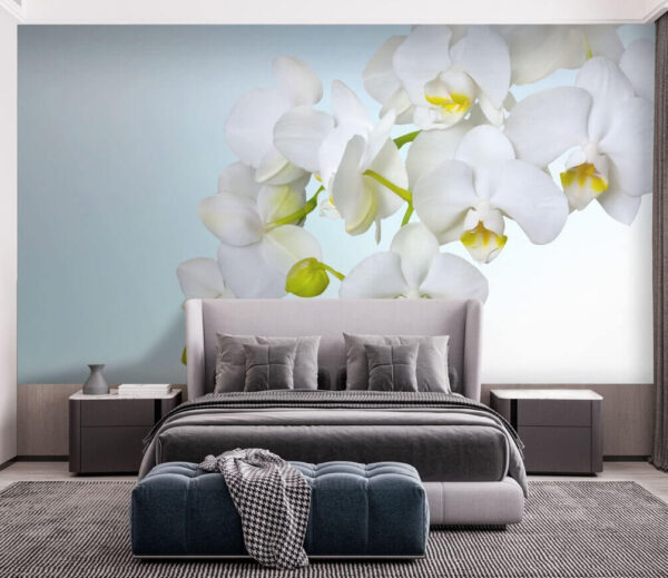 Białe orchidee nad wodą Fototapeta Białe orchidee nad wodą