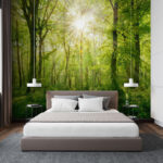 Fototapeta Słońce prześwitujące przez drzewa