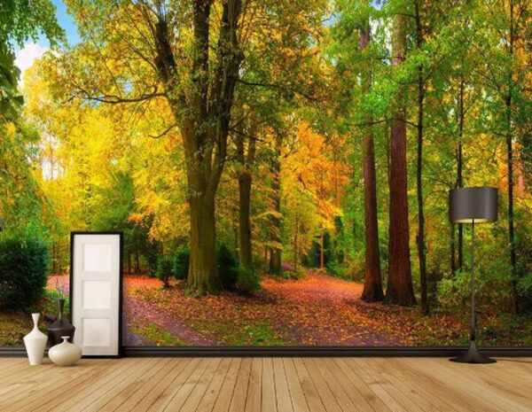 Kolorowy jesienny las z krętą ścieżką Fototapeta Kolorowy jesienny las z krętą ścieżką
