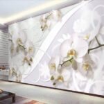 Fototapeta Delikatne orchidee na miękkim tle