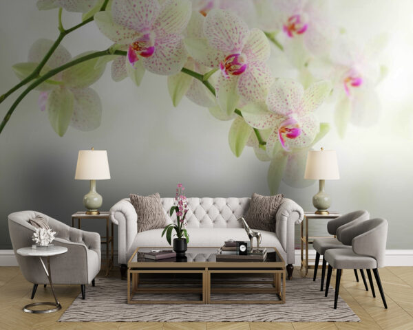 Orchidee odbijające się w spokojnej wodzie Fototapeta Orchidee odbijające się w spokojnej wodzie