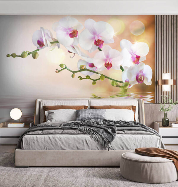 Orchidee odbijające się w spokojnej wodzie Fototapeta Orchidee odbijające się w spokojnej wodzie