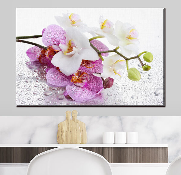 Orchidee z kroplami wody błyszczą Obraz Orchidee z kroplami wody błyszczą