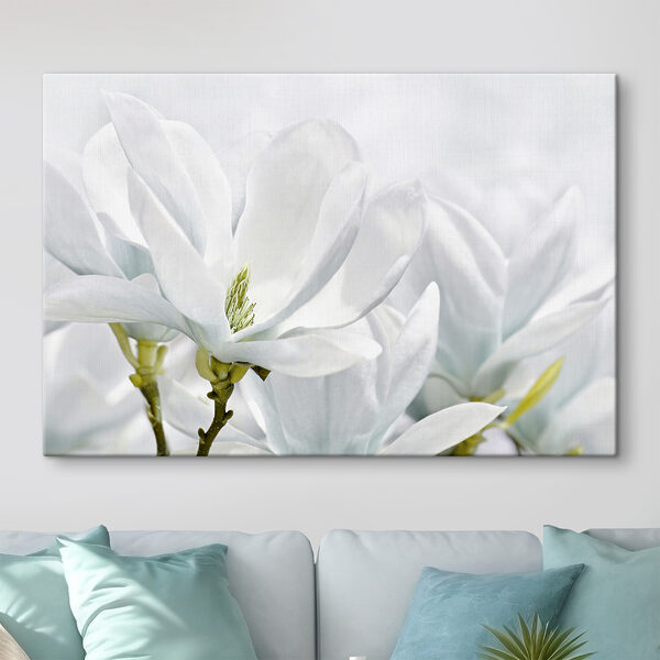 Biała magnolia kwitnie wiosną Obraz Biała magnolia kwitnie wiosną