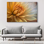 Obraz Miękkie płatki w sennym uścisku