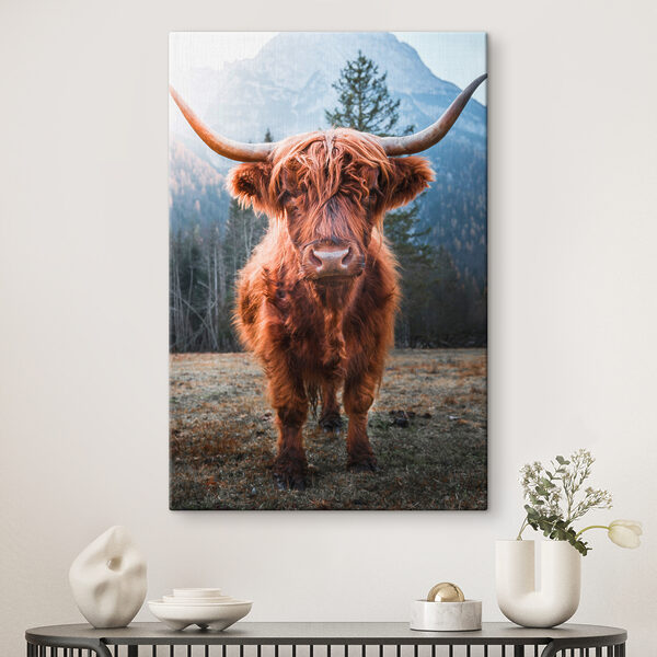 Krowa rasy Highland w malowniczym górskim krajobrazie Obraz Krowa rasy Highland w malowniczym górskim krajobrazie