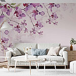 Fototapeta Delikatne orchidee w łagodnych odcieniach