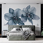 Fototapeta Delikatne orchidee z poranną rosą