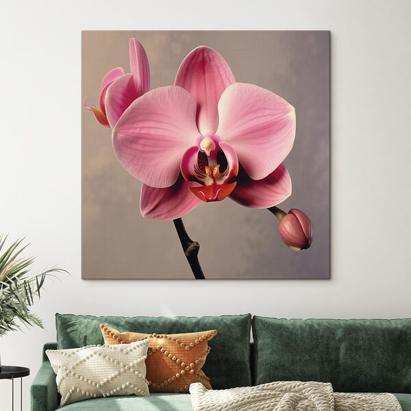 Delikatna różowa orchidea w rozkwicie Obraz Delikatna różowa orchidea w rozkwicie