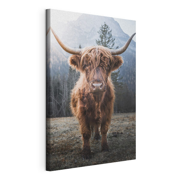 Wydruk na płótnie Krowa rasy Highland w malowniczym górskim krajobrazie