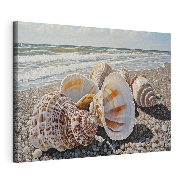 Wydruk na płótnie Muszelki na plaży