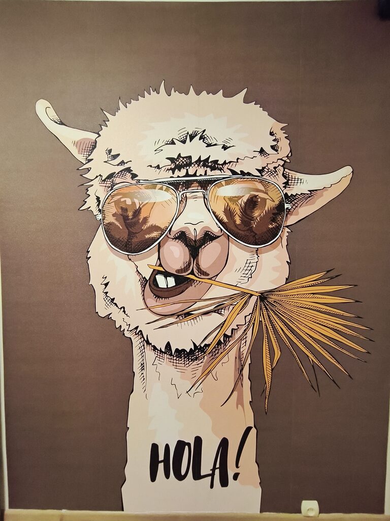 Fototapeta Fajna lama witająca się stylowo!